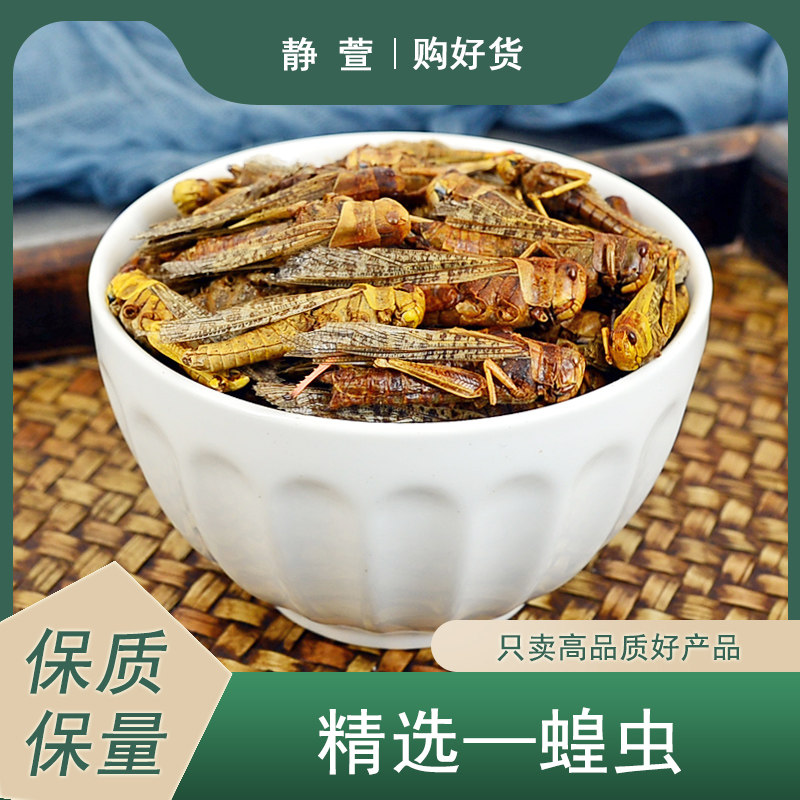 蝗虫中药材静萱正品药用蚂蚱干蚱蜢草蜢飞蝗泡水搭食用蝗虫干粉