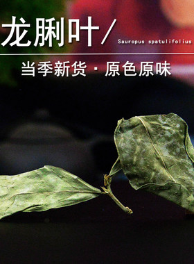 龙脷叶中药材正品龙利叶龙俐叶粉