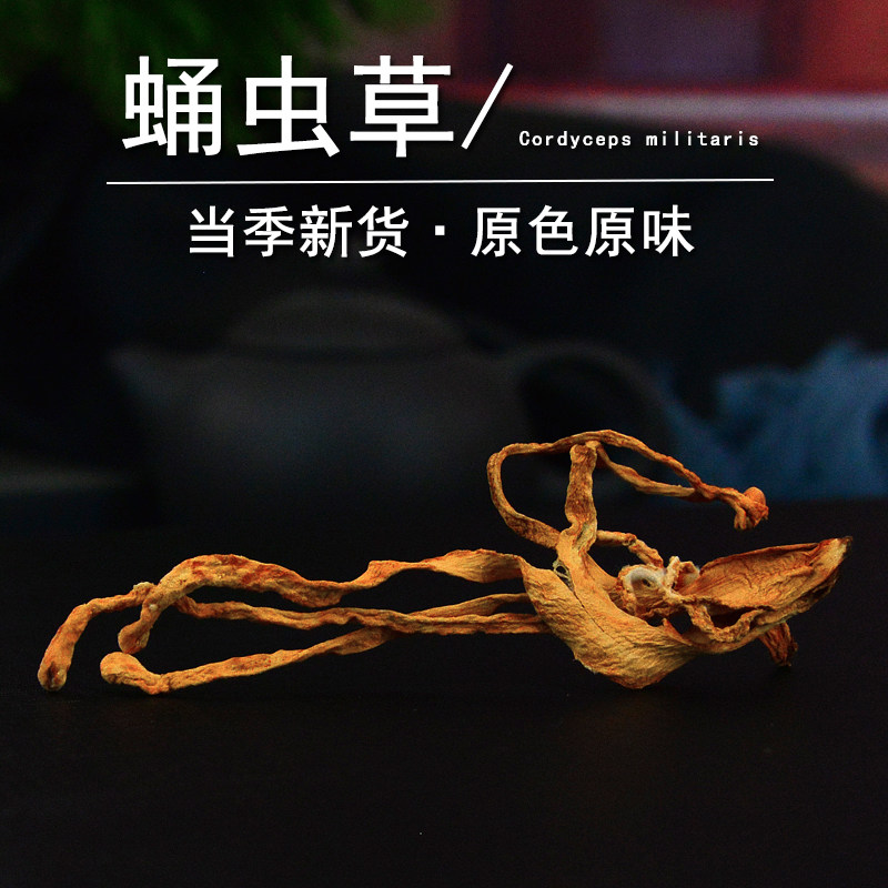 蛹虫草中药材静萱正品虫草花干货金虫草非野生北冬虫草孢子头粉