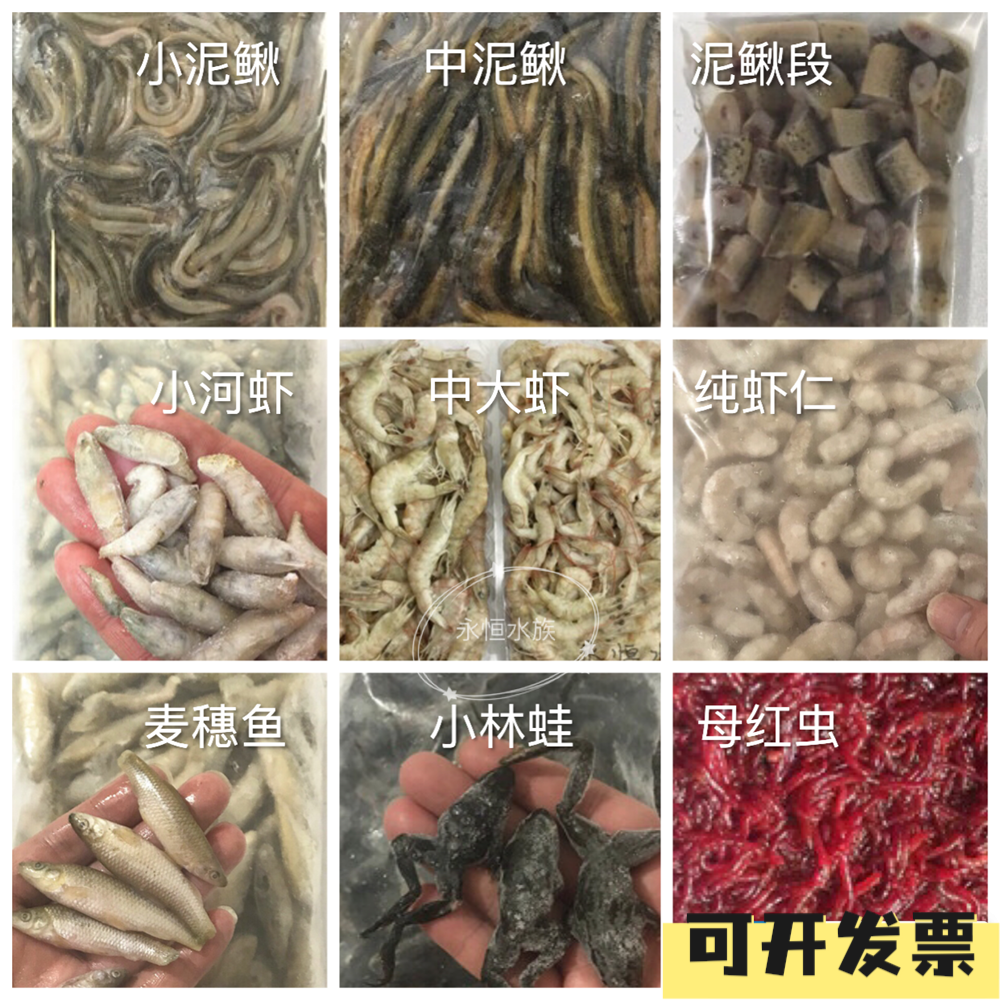 新鲜冷冻鱼食泥鳅麦穗鱼河虾虾仁