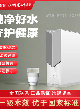 格力净水器家用厨房小型RO反渗透自来水净水器WTE-PT75-2X688A