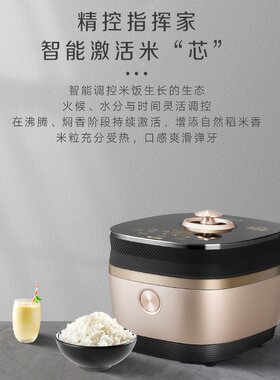 格力大松智能多功能电饭煲4L