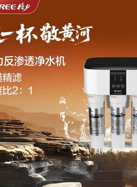 格力家用反渗透净水机可拆洗第四代厨下净水器WTE-PC16-5085