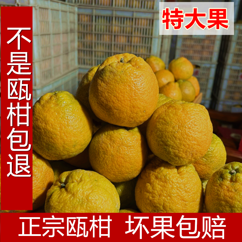 新鲜水果瓯柑果农直销丽水温州