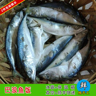 2件包顺丰潮州打冷美味下饭 巴浪鱼饭 潮汕鱼饭 当天制作即食500g