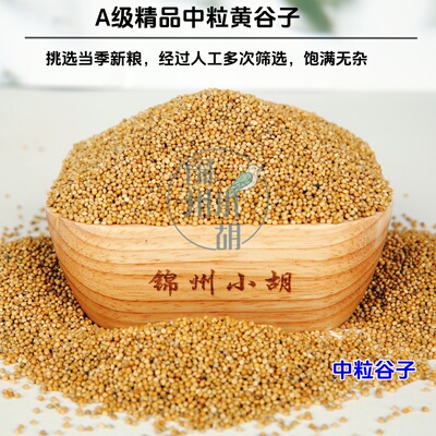 2025年中颗粒谷子包邮新鲜鸟食玉鸟玄凤牡丹丝雀包邮清仓鸟食鸟粮