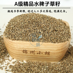 当年鸟粮水稗子草籽内蒙古草籽真空包装鹦鹉粮鸟食玉鸟丝雀牡丹