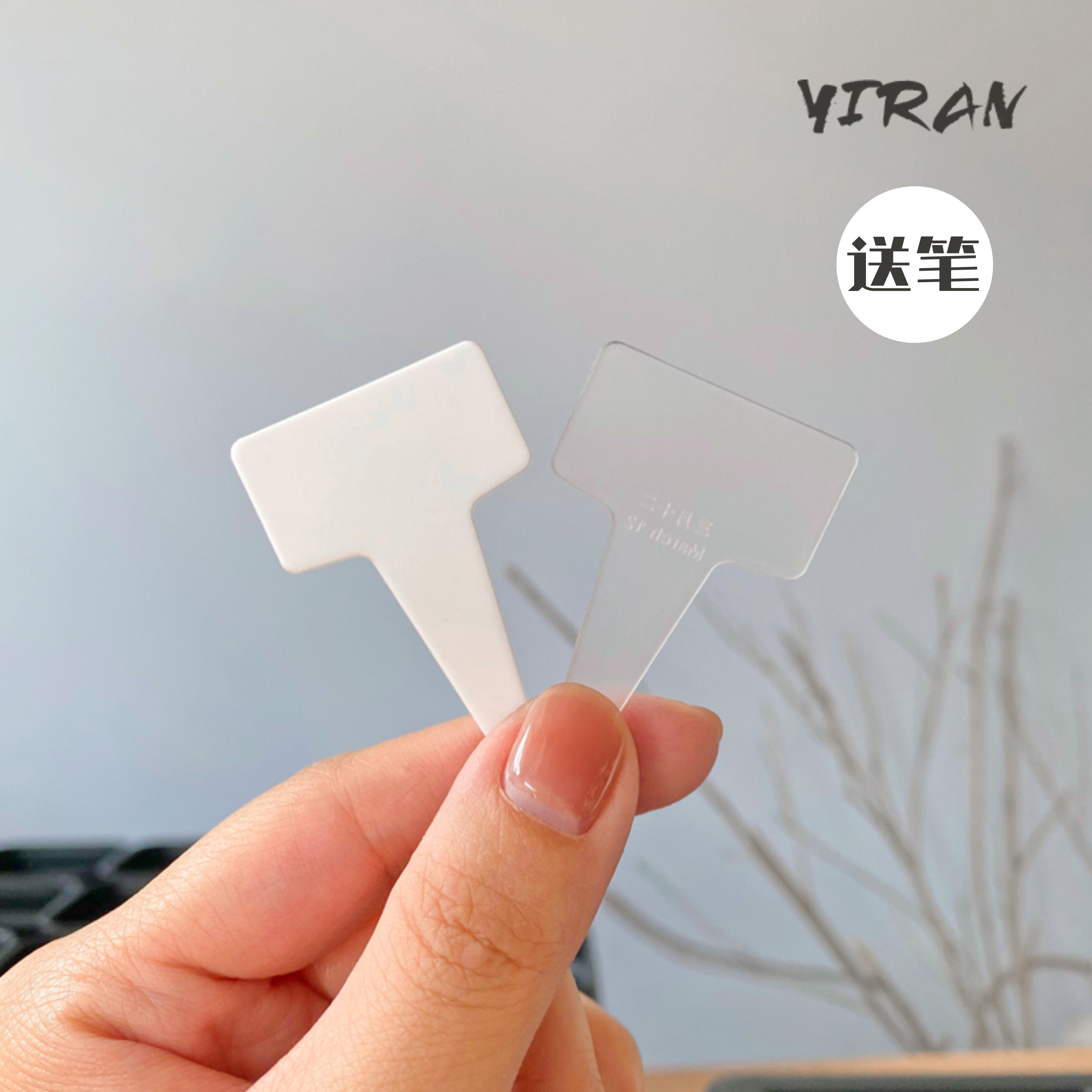 多肉标识牌T型标签大小号图片