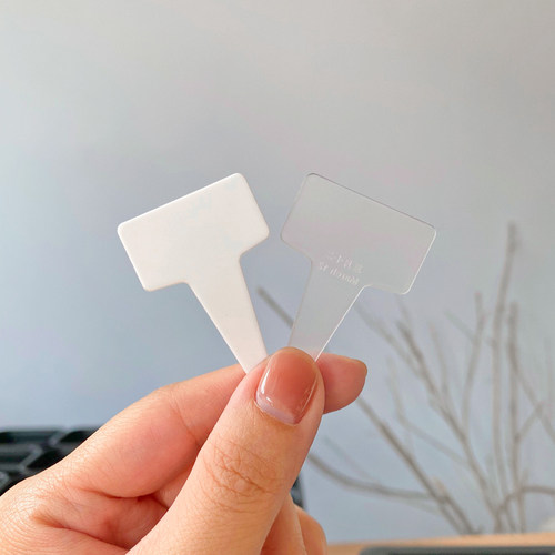 多肉标识牌T型标签大小号