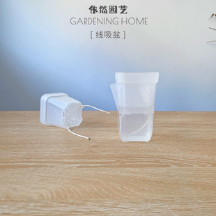 线吸盆 半透刻度量杯多肉角堇花卉绿植盆栽水培 矮方水培塑料花盆