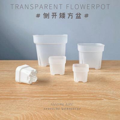 侧开款特厚浅方盆透明白色可选