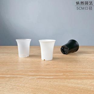 5口迷你 圆形万象盆加厚塑料多肉花盆简约多肉肉肉桌面阳台小花盆