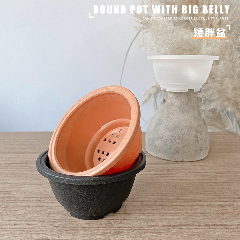 【矮胖盆】塑料多肉圆形花盆老桩加厚树脂绿萝十二卷碗形钵播种盆,鲜花速递/花卉仿真/绿植园艺,花盆,淘宝优惠券,粉丝福利购,淘宝优惠卷