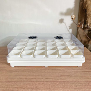 2代托盘 多肉叶插育苗盘特厚方盆整理盘蓄水闷养盒多肉浸盆保温盒