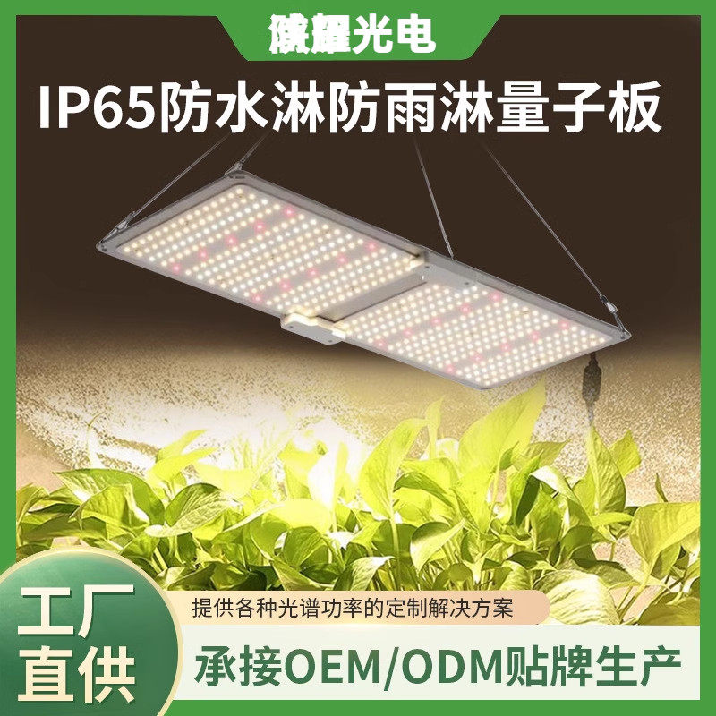 植物生长灯防水全光谱补光灯图片