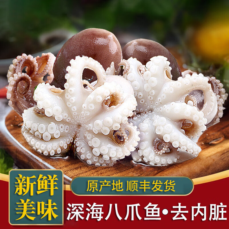 东山岛鲜活冷冻小章鱼 新鲜迷你八爪鱼 长腿大爆头 火锅食材 水产