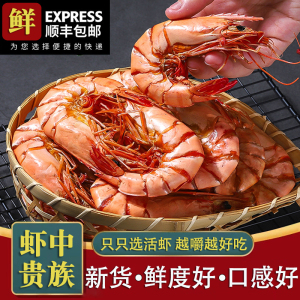 大九节虾干 特大斑节虾干即食烤虾干 风干干虾孕妇零食海鲜干货