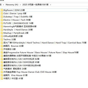 2025 9月百大DJ酒吧早场中场主场后场派对场舞曲DJ套曲单曲1061首