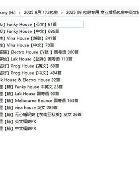 2025 9月包房FK Lak Prog Vina Bounce Electro中英舞曲DJ套曲48G
