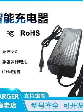 33.6V锂电池电动电瓶充电器三元8串2a3A5a大功率33V29.6V聚合物