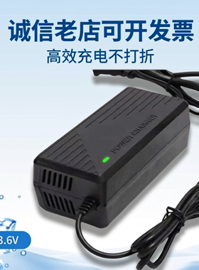 33.6V锂电池电动电瓶充电器三元8串2a3A5a大功率33V29.6V聚合物