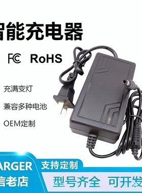 6V4AH5Ah7Ah8AH10Ah20Ah蓄电池充电器玩具童车铅酸电瓶充电器