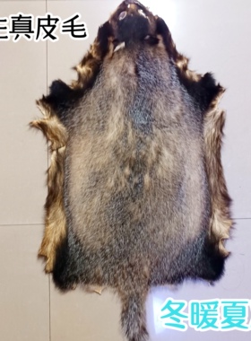 獾皮原皮 整张真皮座垫 沙发座椅 四季通用痔疮车垫獾子皮坐垫