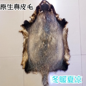 獾皮原皮 整张真皮座垫 沙发座椅 四季通用痔疮车垫獾子皮坐垫