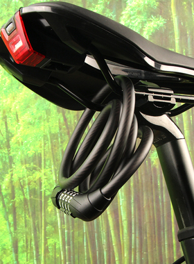 新款GIANT捷安特密码锁SECURITY系列防盗圈锁山地自行车钢缆圈锁