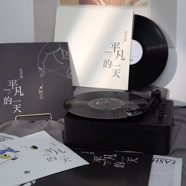 现货正版 毛不易 平凡的一天 2LP黑胶唱片 留声机专用唱盘 12寸碟