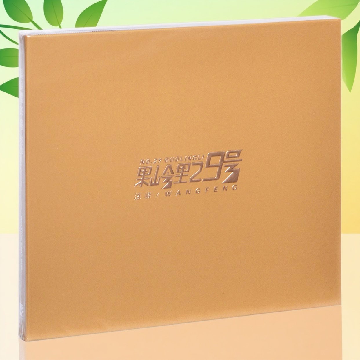 正版唱片 附歌词本