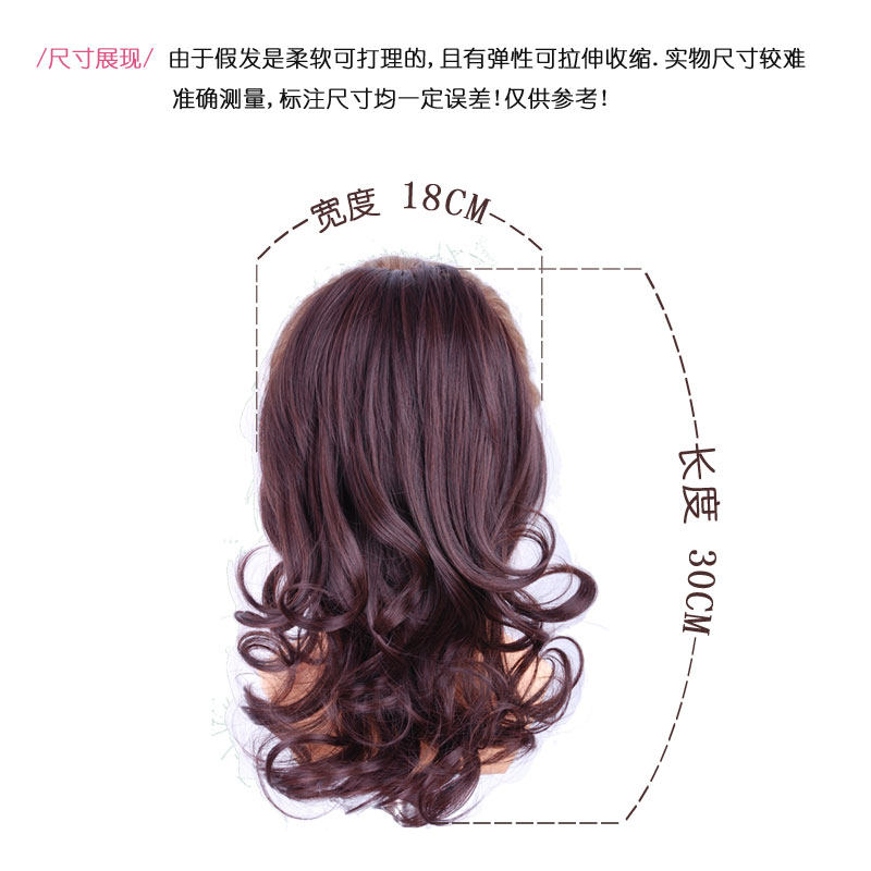 Extension cheveux - Chignon - Ref 247940 Image 5