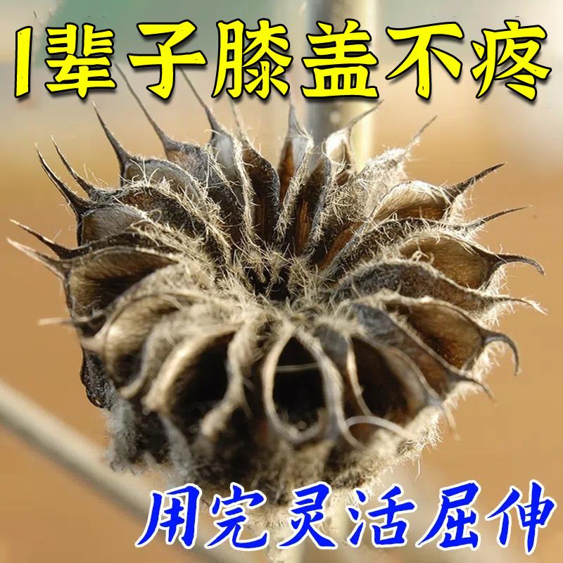 【100%冶好】膝盖关节疼痛半月板磨损修复滑膜积水消肿止痛药膏SJ