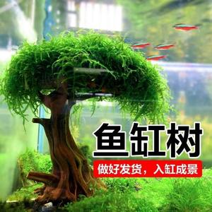 鱼缸造景全套生态鱼缸装饰造景水生植物鱼缸造景套装成品鱼缸树{