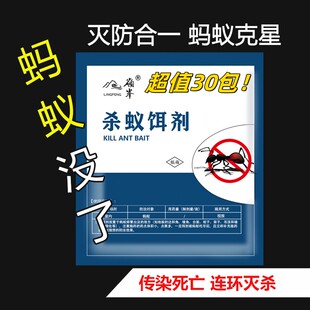 除灭蚂蚁药粉家用室内厨房全窝端灭蚁神器驱杀黑红蚂蚁饵剂非无毒