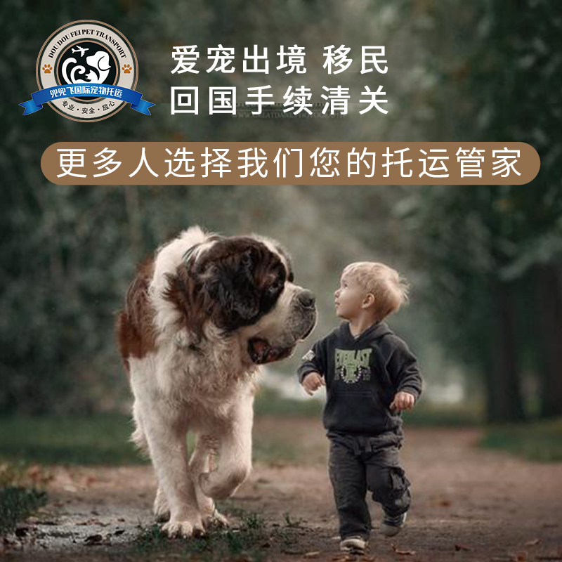 国际宠物运输全球美国加拿大日本韩国泰国欧盟猫狗出国入境清关