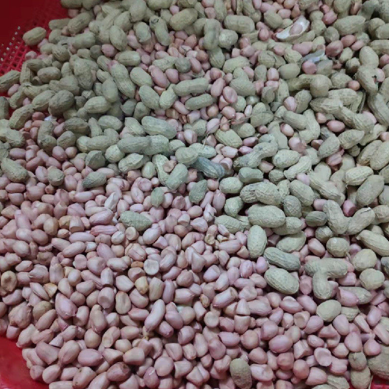 红安花生农家自种山地花生去壳粉皮花生米5斤包邮精品手工剥壳的