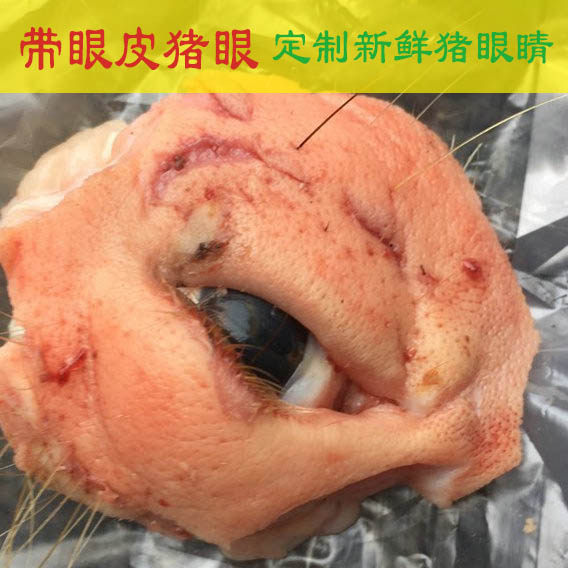 【带眼皮猪眼 带眼睑新鲜猪眼睛】带皮猪眼 杀猪人家现取猪眼