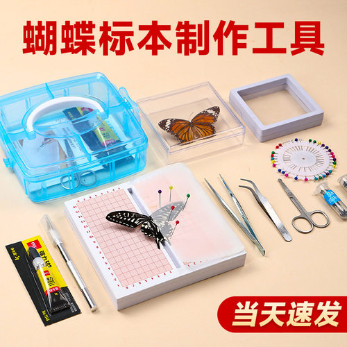 蝴蝶标本展翅板制作工具