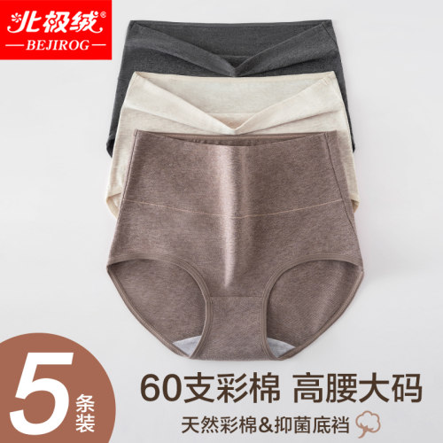 北极绒天然彩棉高腰大码内裤女士