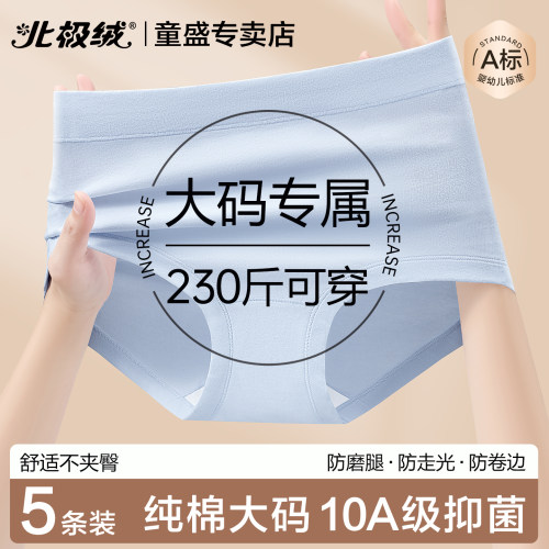 北极绒内裤女士a类纯棉大码短裤