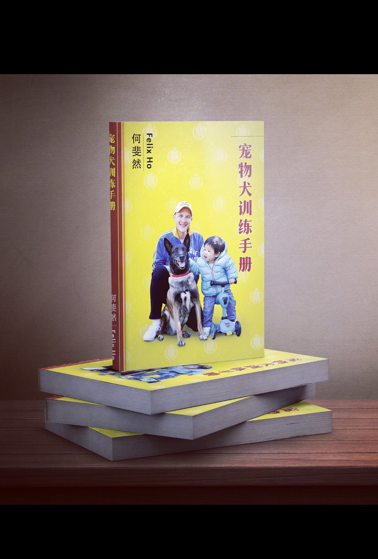 【正版现货】《 宠物犬训练手册》  何斐然著 家犬训练 图文并茂 - 实物图