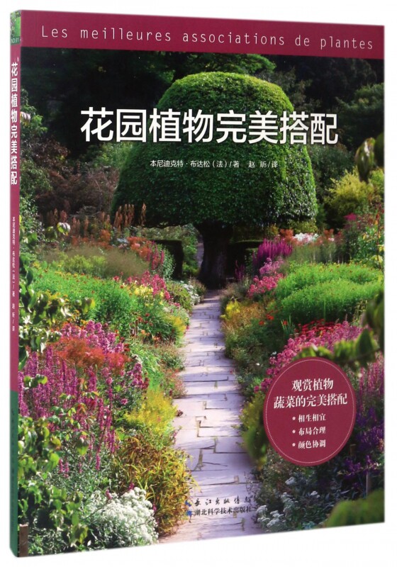 花园植物完美搭配