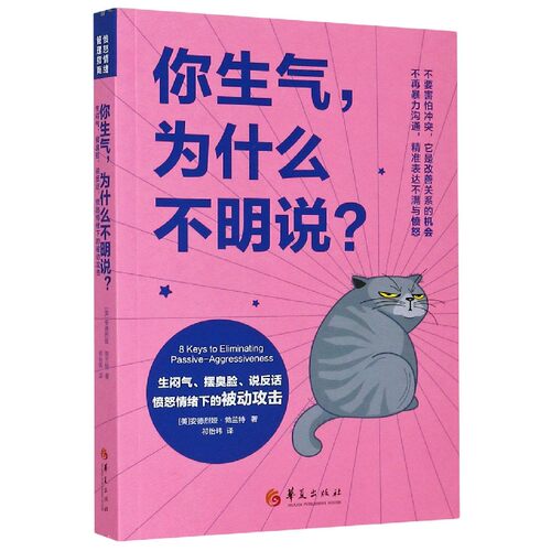 你生气为什么不明说生闷气摆臭脸说反话愤怒情绪下的被动攻击-封面