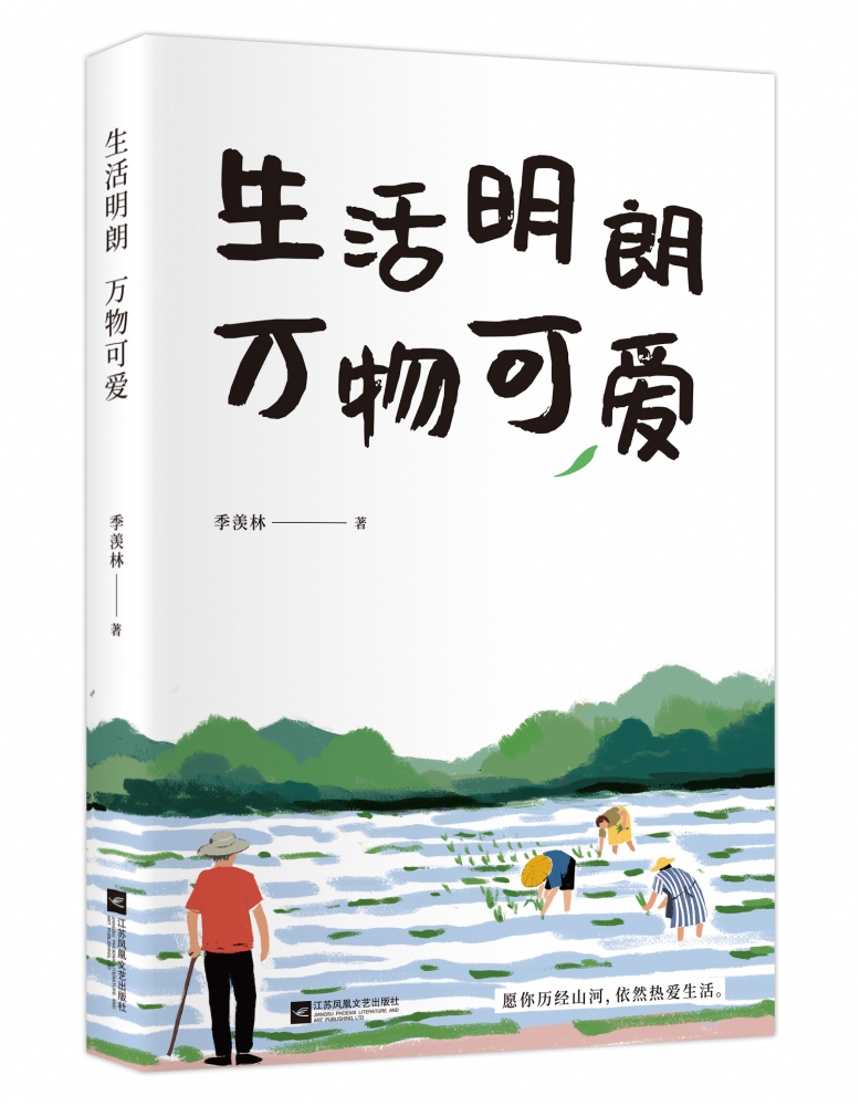 生活明朗万物可爱