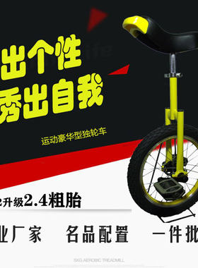 正品儿童杂技平衡代步工厂独轮车