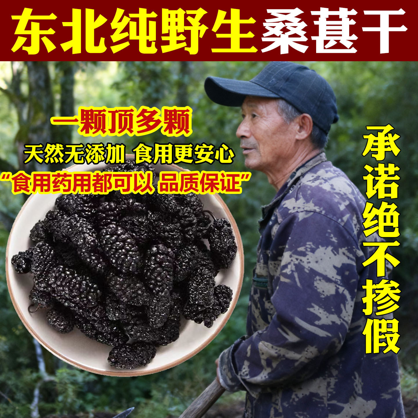 桑葚干东北野生黑桑葚自晒无硫无沙精选桑葚子泡水泡茶野生桑葚干