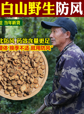 防风中药材东北深山防风正宗关防风片特级北方风无硫主根切可磨粉
