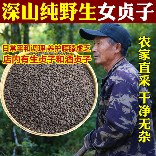野生女贞子中药材酒女贞子泡茶