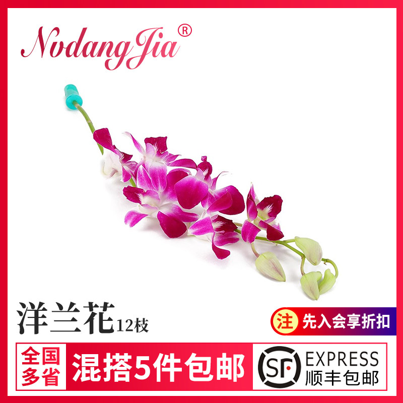 泰国进口杨兰花西餐摆盘 新鲜洋兰花花朵石斛兰 酒店西餐摆盘装饰